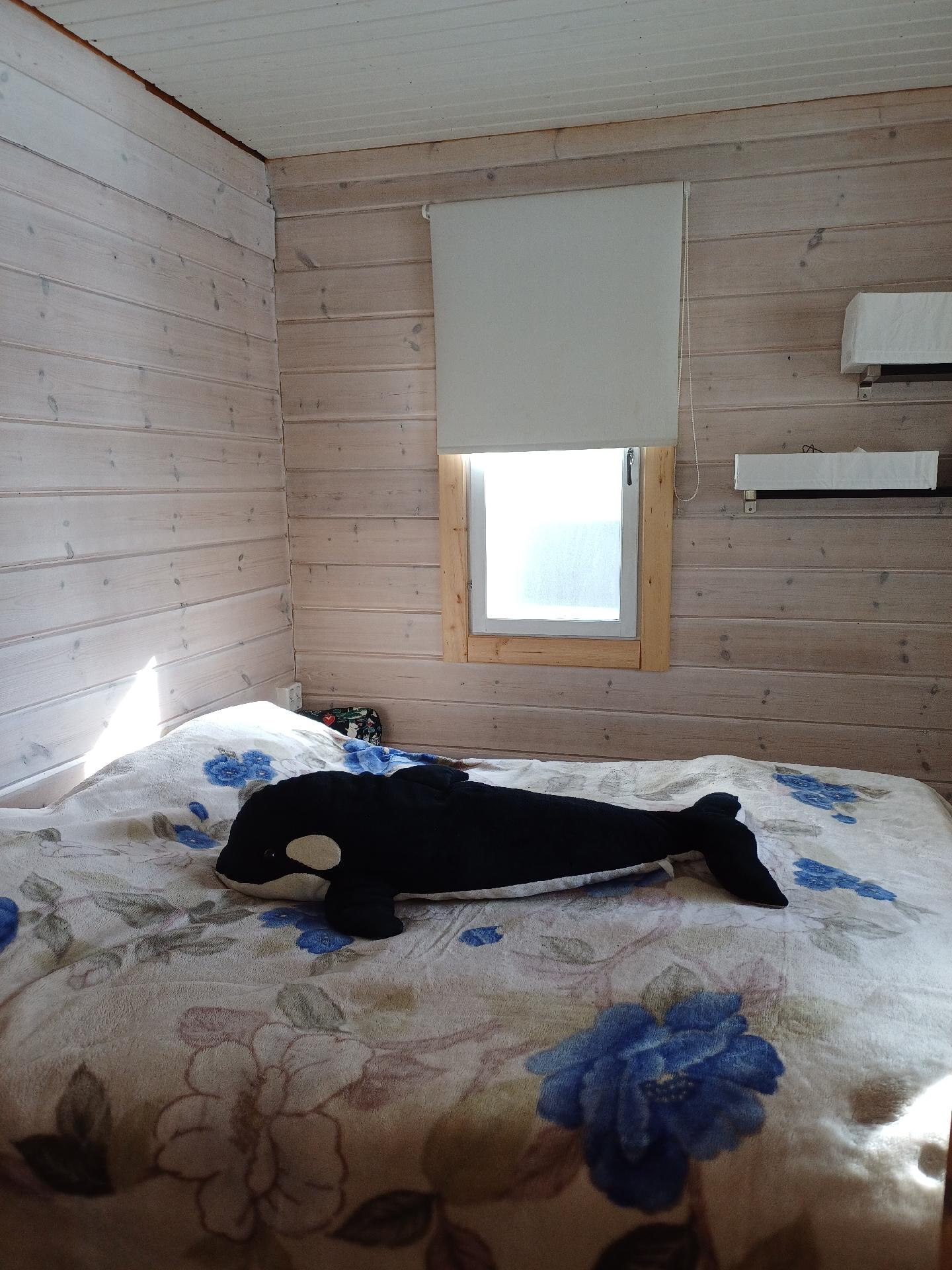 Pikonlahdentie 118, Repomäki, Rantasalmi