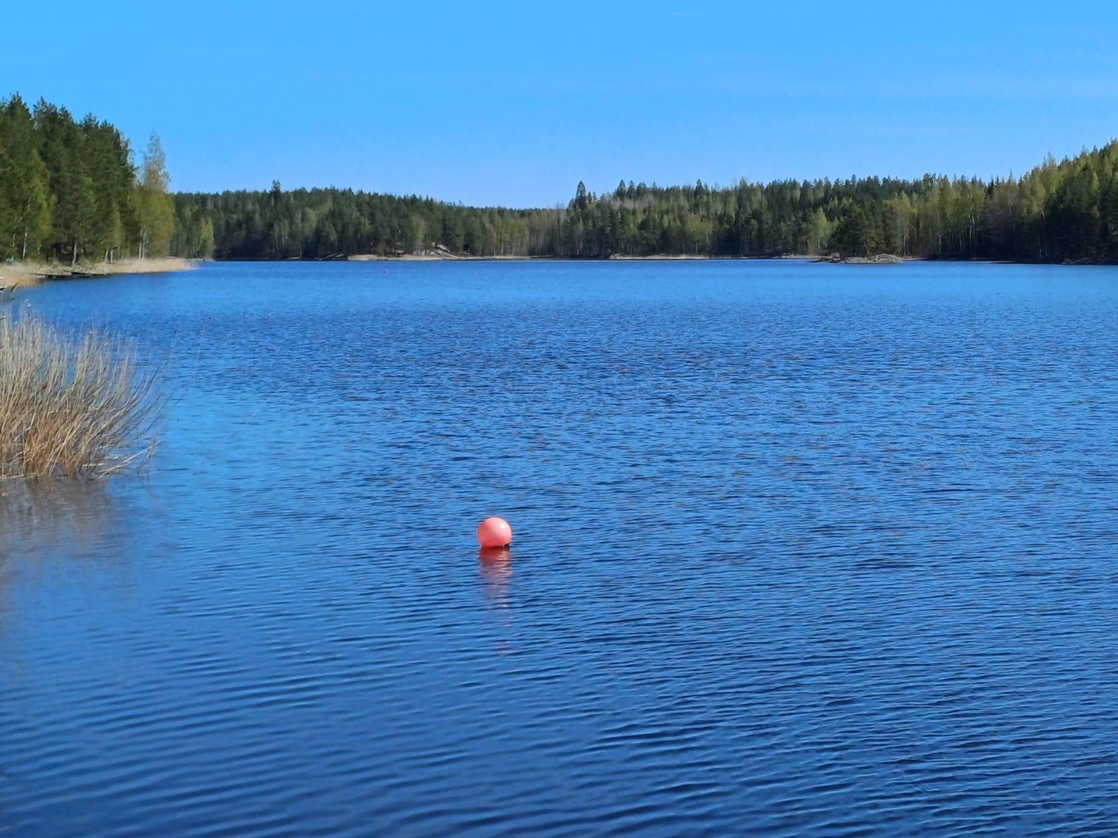 Pikonlahdentie 118, Repomäki, Rantasalmi