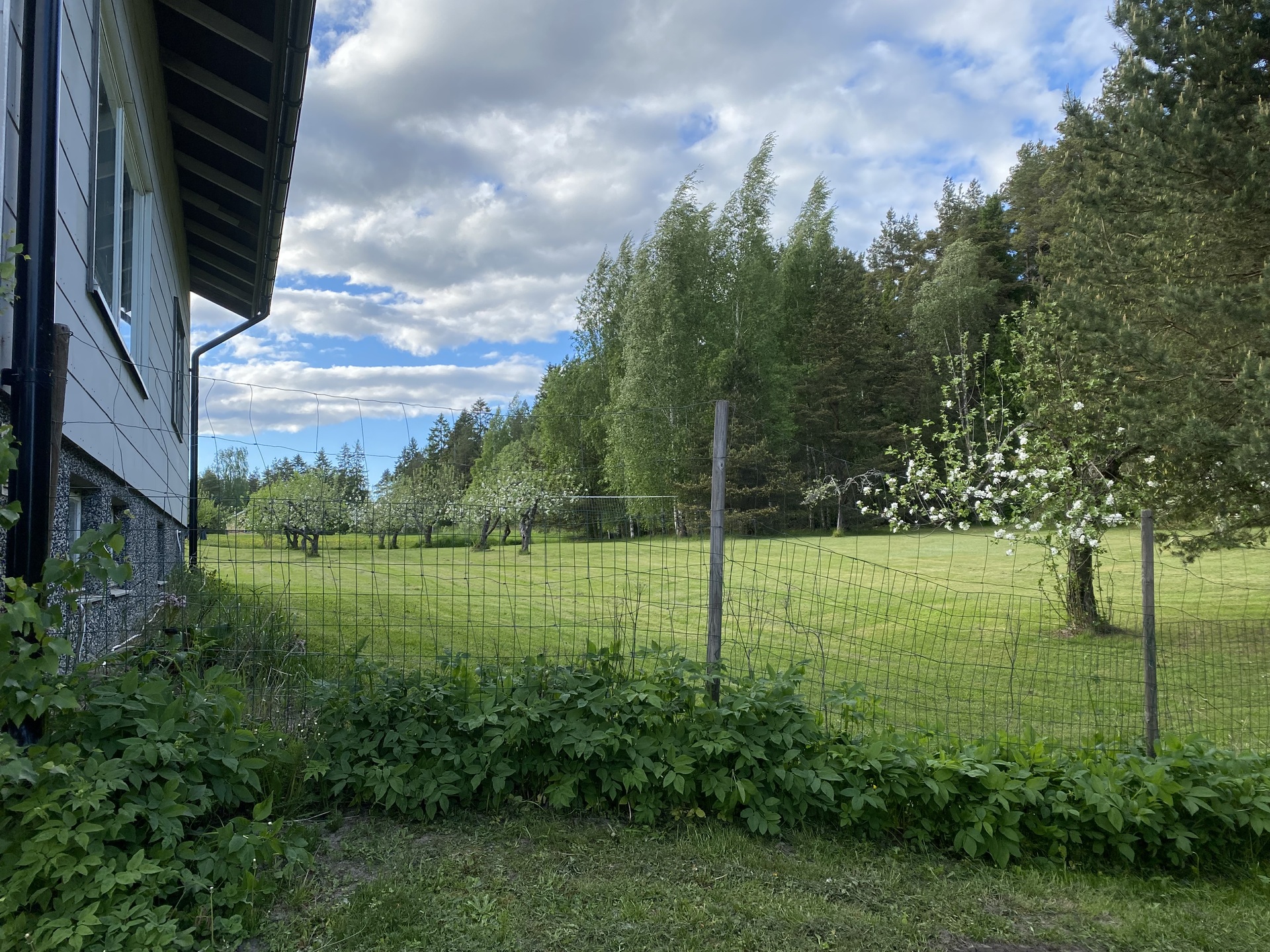 Pähkinämetsäntie 68, Vartsala, Salo