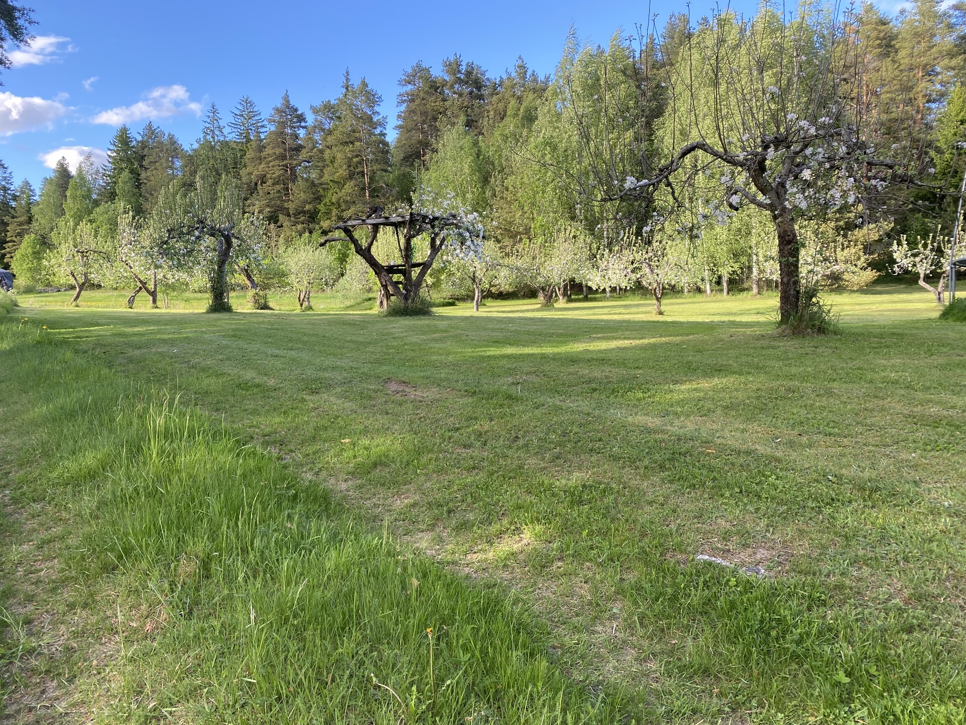Pähkinämetsäntie 68, Vartsala, Salo