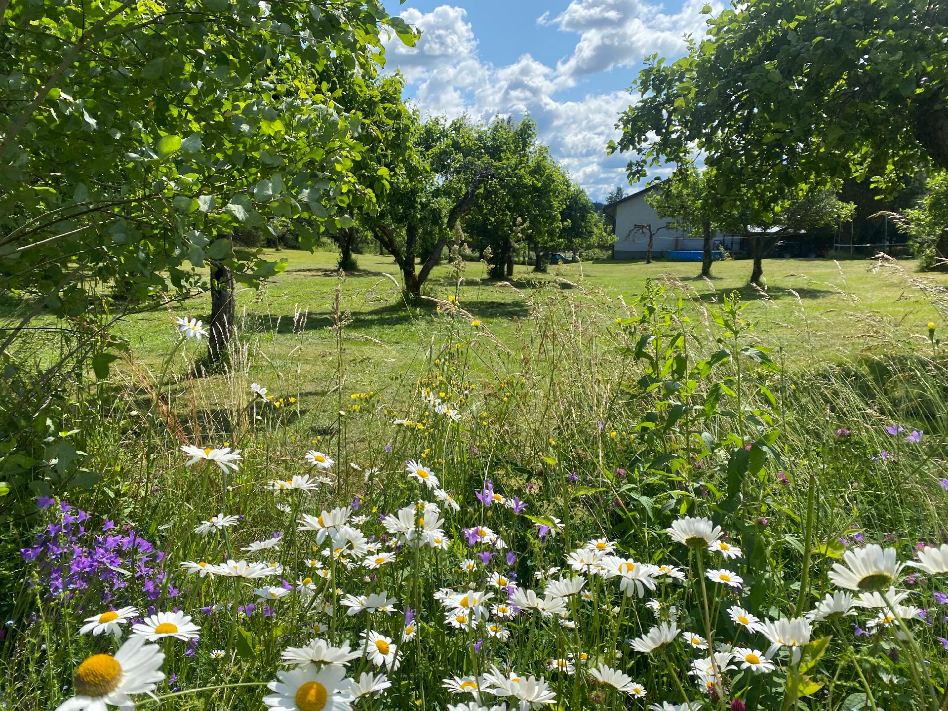 Pähkinämetsäntie 68, Vartsala, Salo