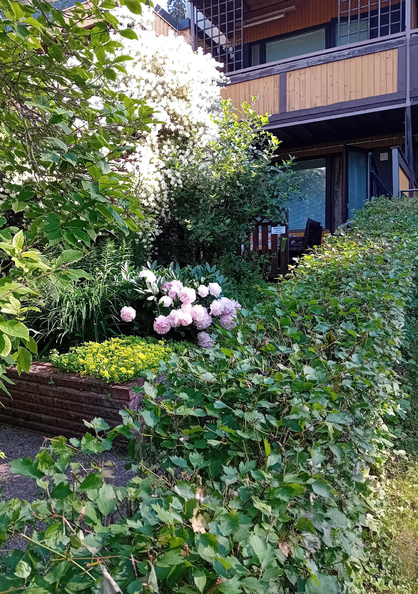 Teriöpolku 4, Länsi-Puijo, Kuopio