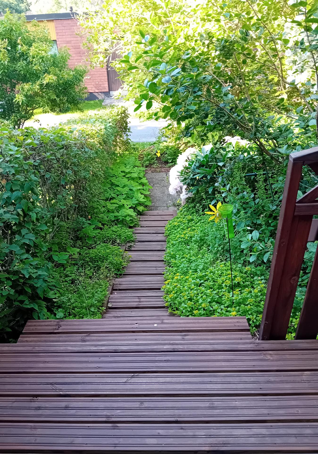 Teriöpolku 4, Länsi-Puijo, Kuopio