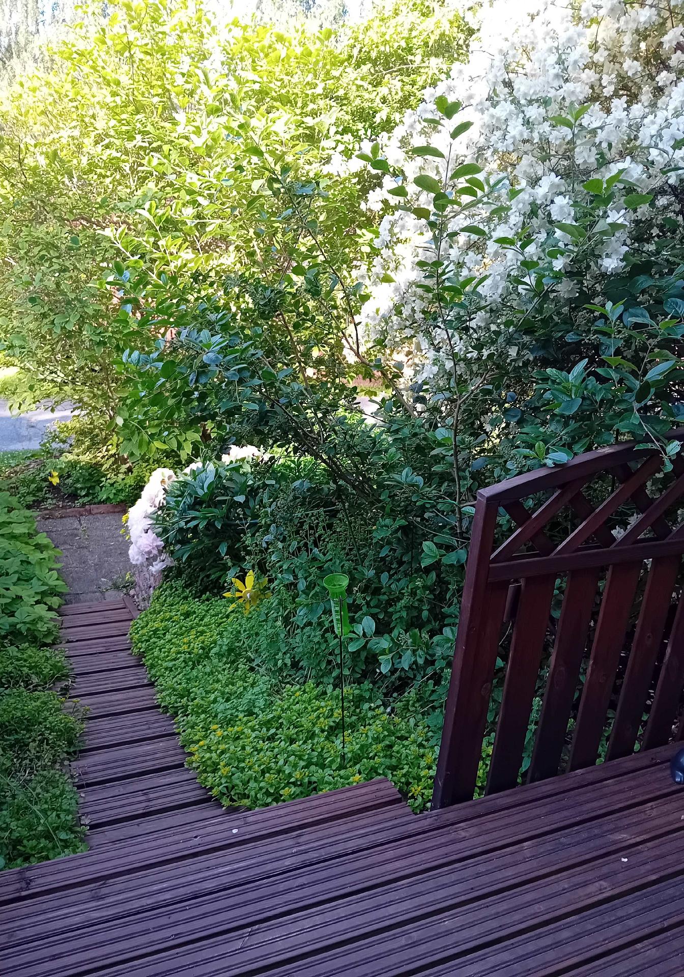 Teriöpolku 4, Länsi-Puijo, Kuopio