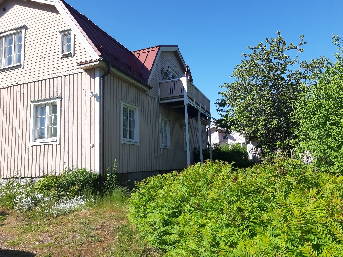 Piha-alue kesällä