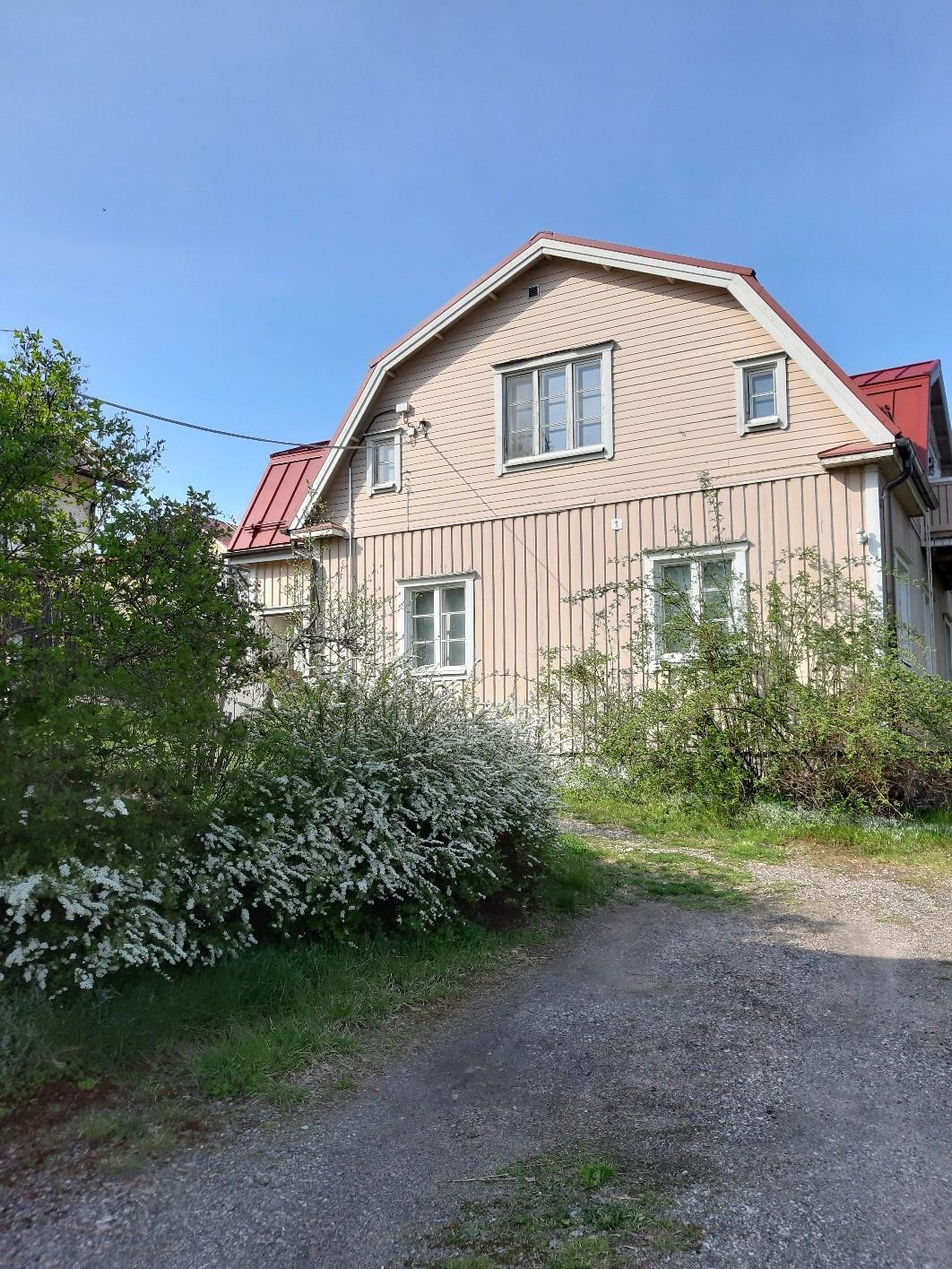 Piha-alue