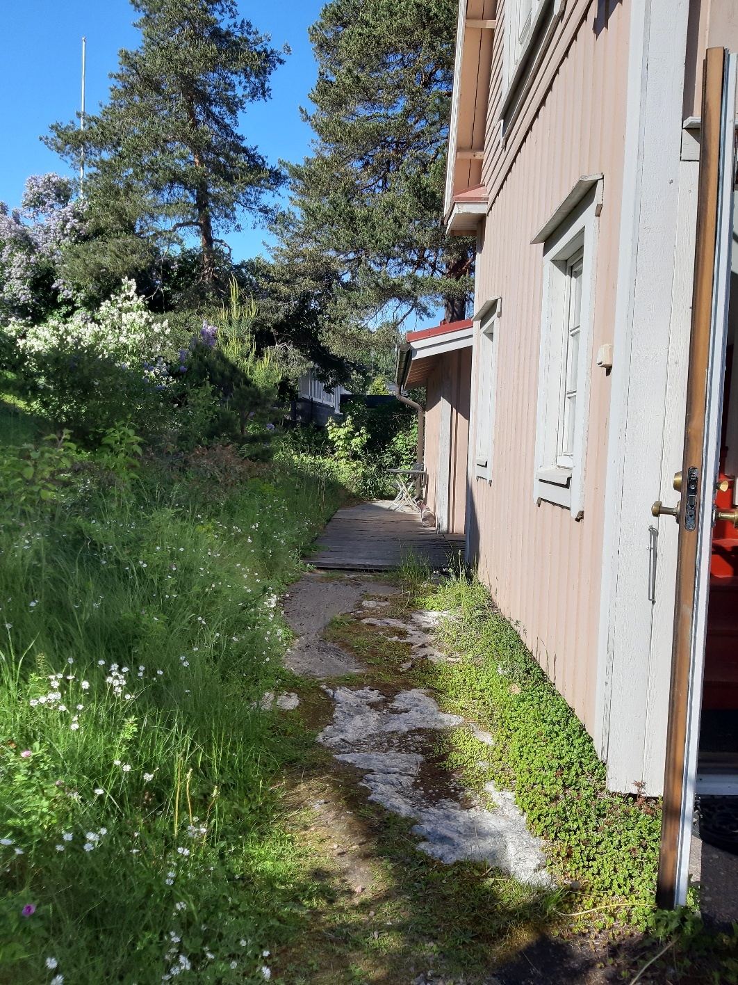 Sivupiha, käynti saunalle