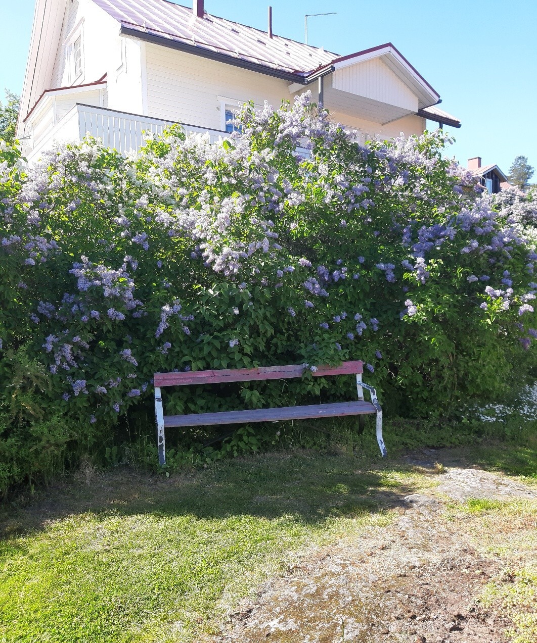 Piha-alue