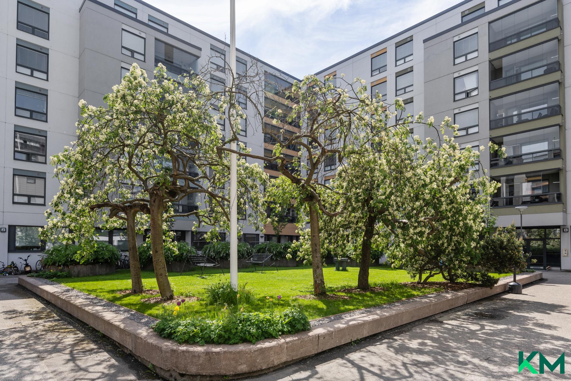 Köydenpunojankatu 8, Kamppi, Helsinki