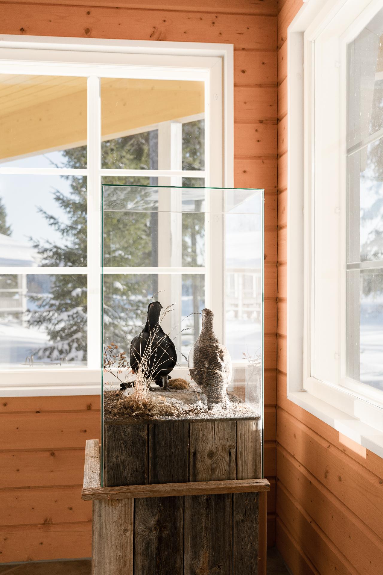 Pohjoispuolentie 306 A, Simo, Simo