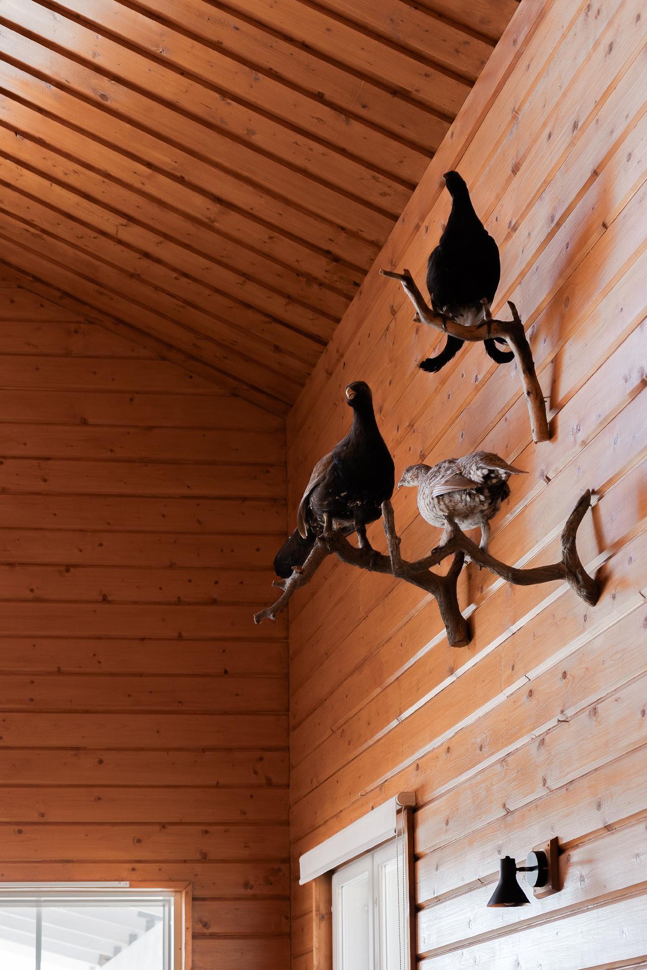 Pohjoispuolentie 306 A, Simo, Simo