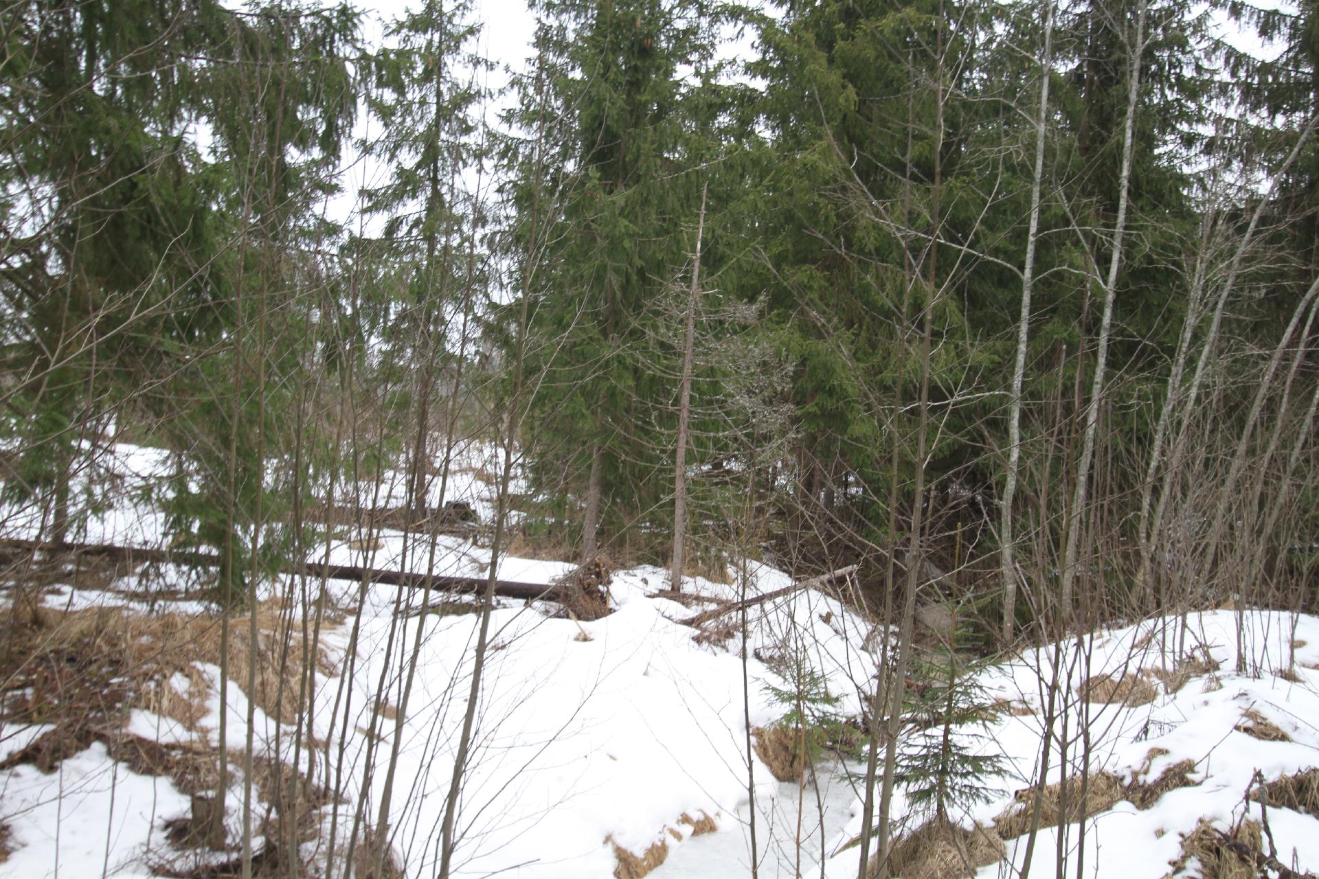 Ahomaantie 35, Ohkola, Mäntsälä