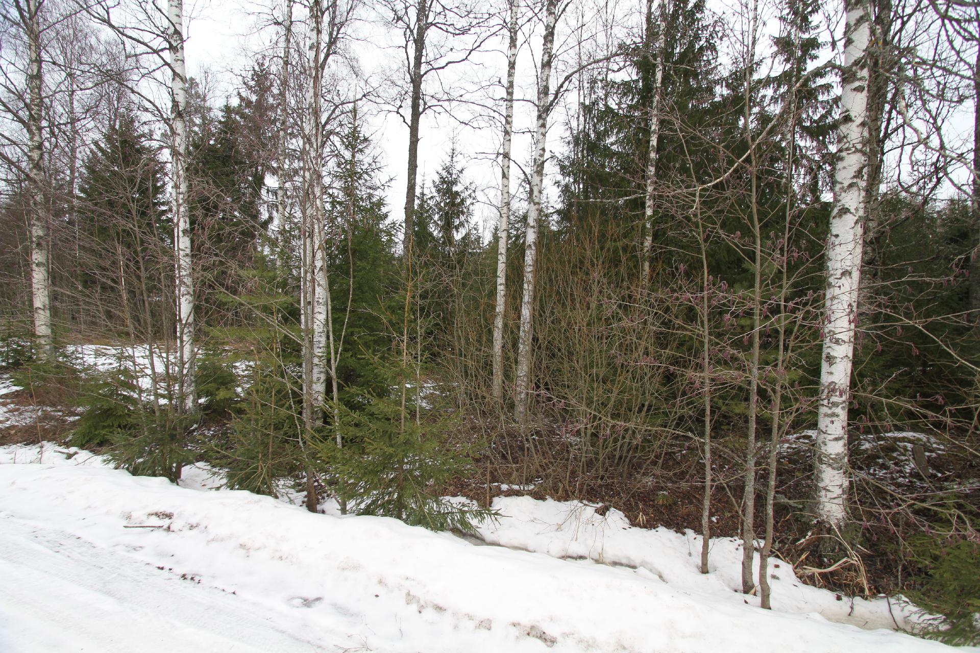 Ahomaantie 35, Ohkola, Mäntsälä