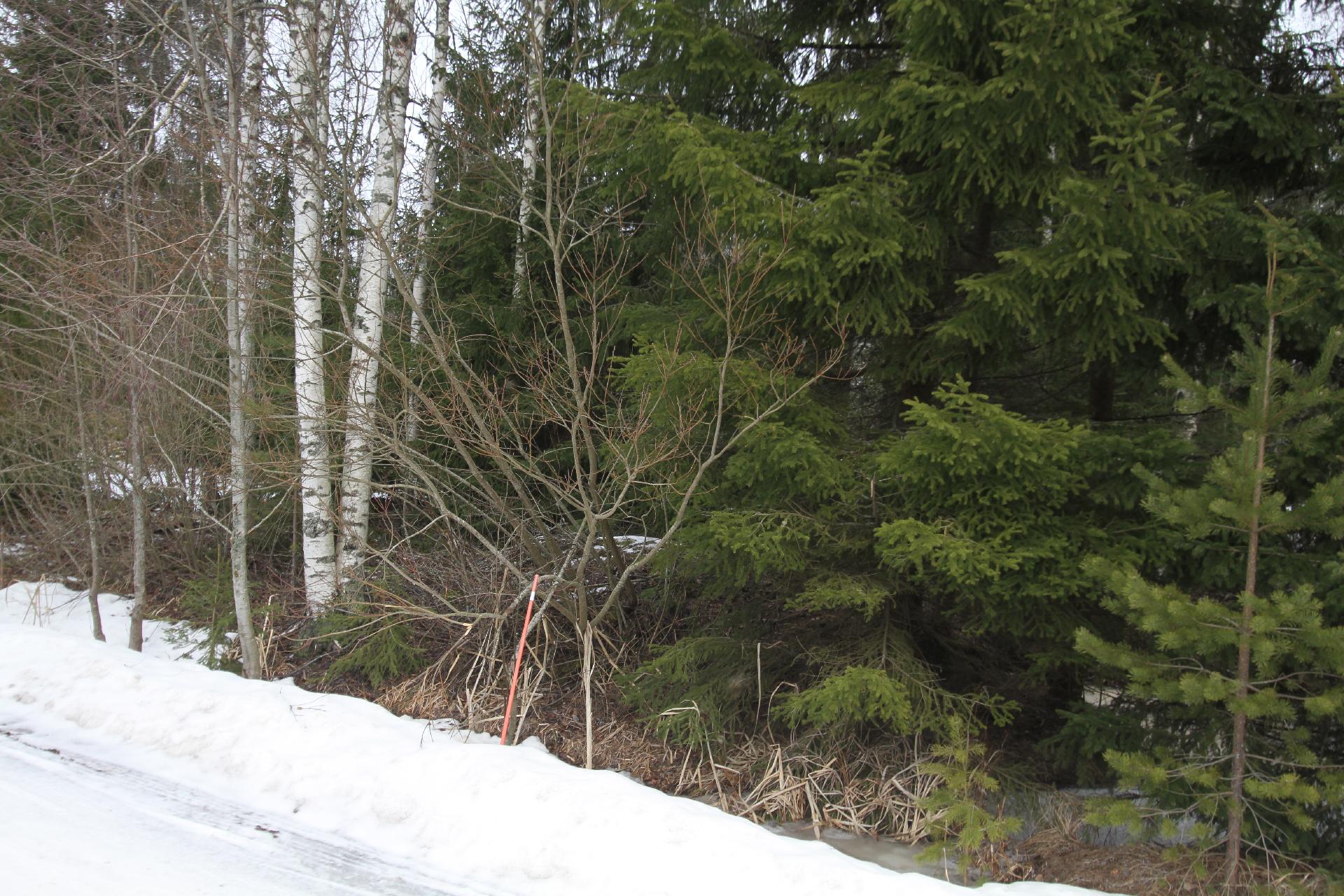 Ahomaantie 35, Ohkola, Mäntsälä