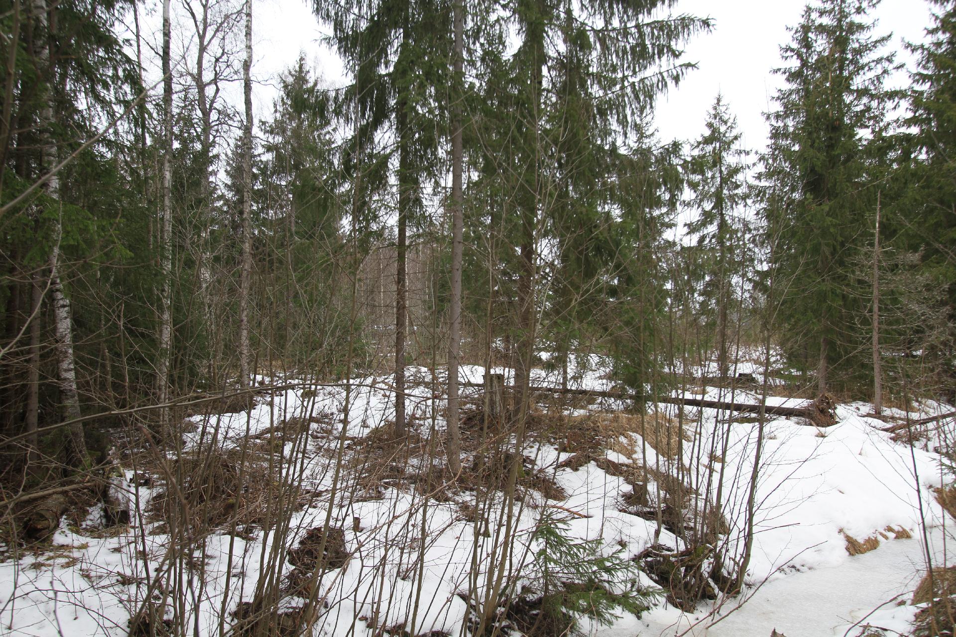 Ahomaantie 35, Ohkola, Mäntsälä