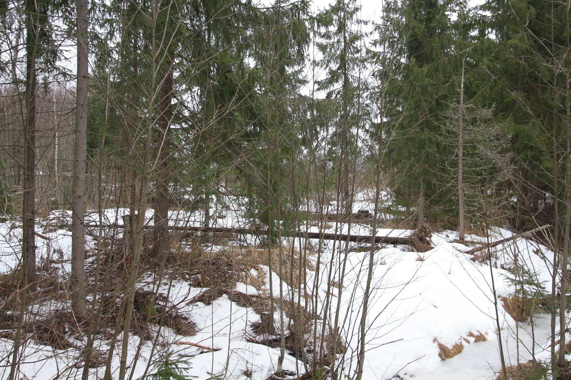 Ahomaantie 35, Ohkola, Mäntsälä