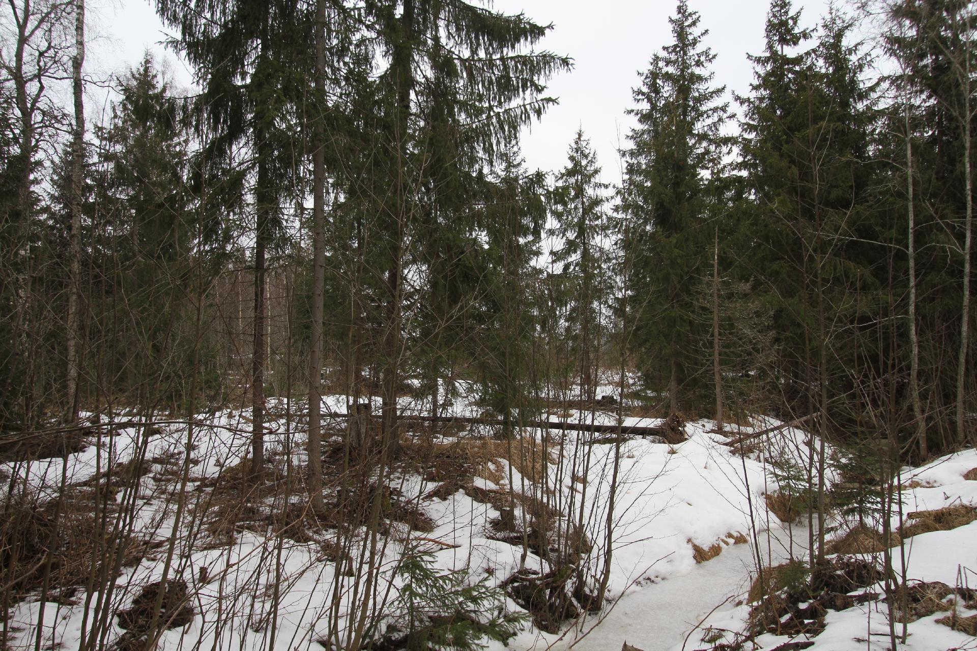 Ahomaantie 35, Ohkola, Mäntsälä