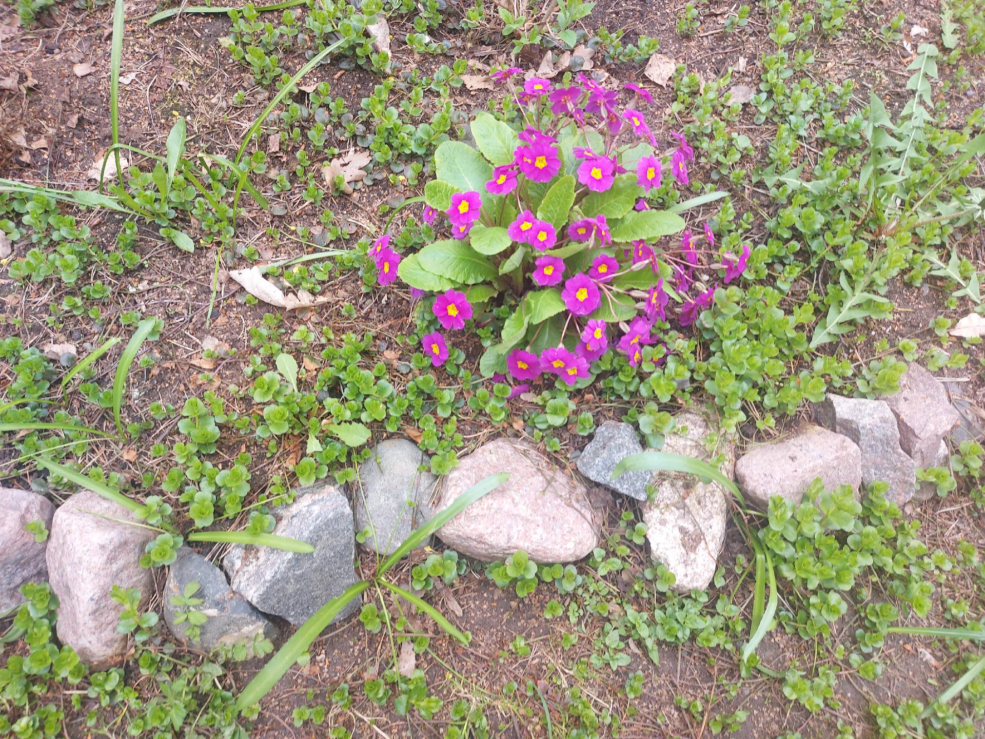 Puustellinpolku 16, Malminkartano, Helsinki