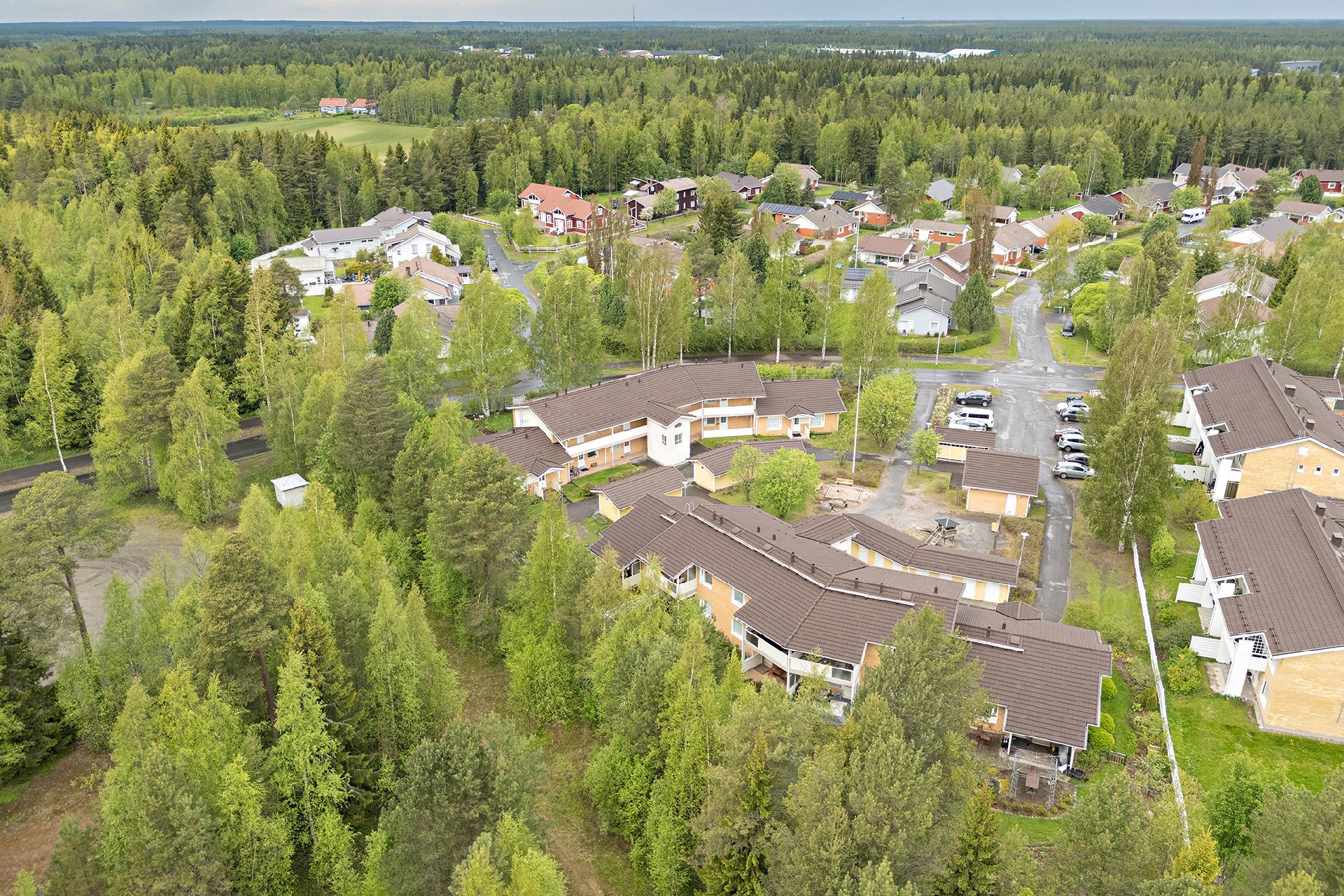 Riekonmarjatie 18, Herukka, Oulu