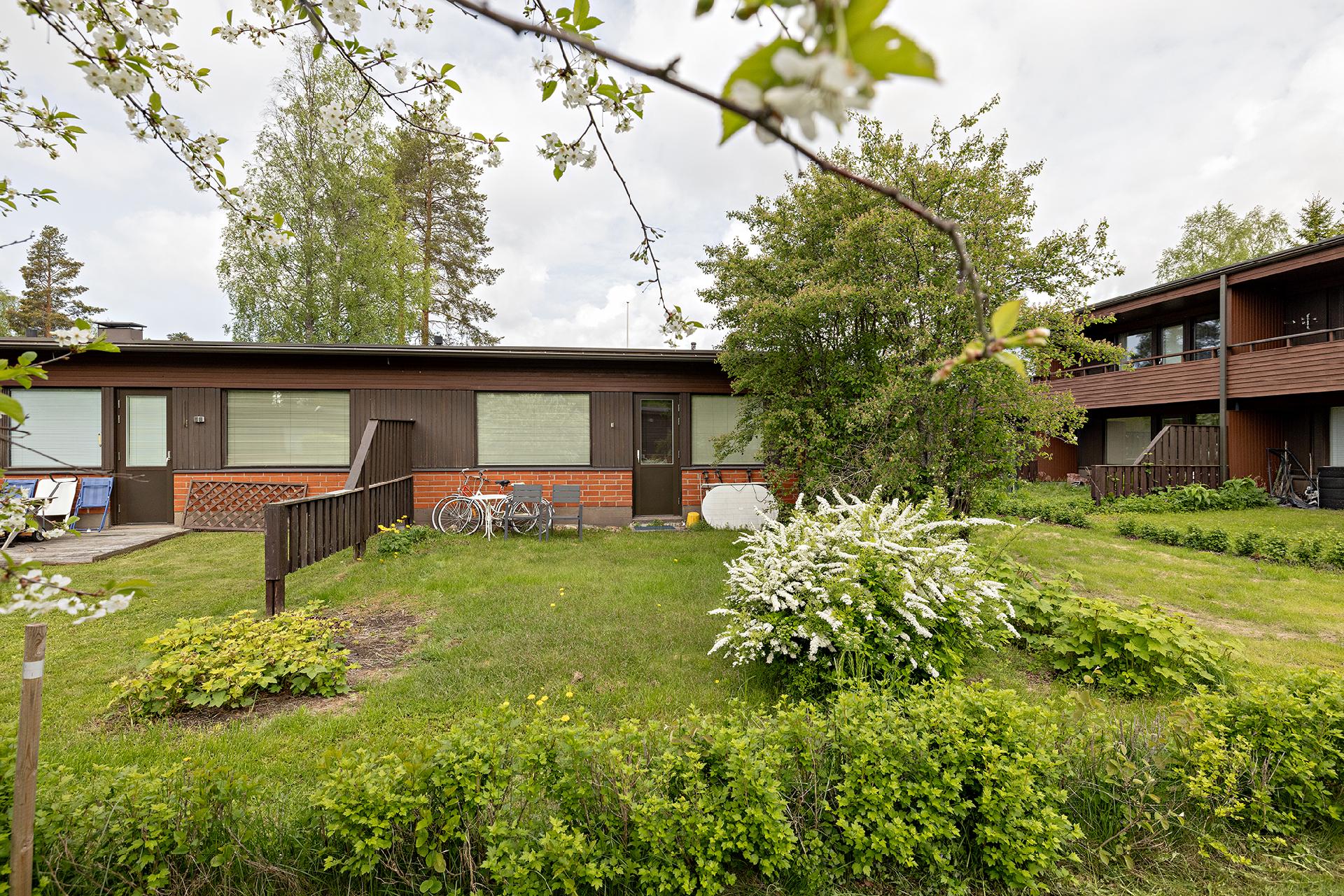 Haapakuja 11, Ylä-Haapalehto, Oulu