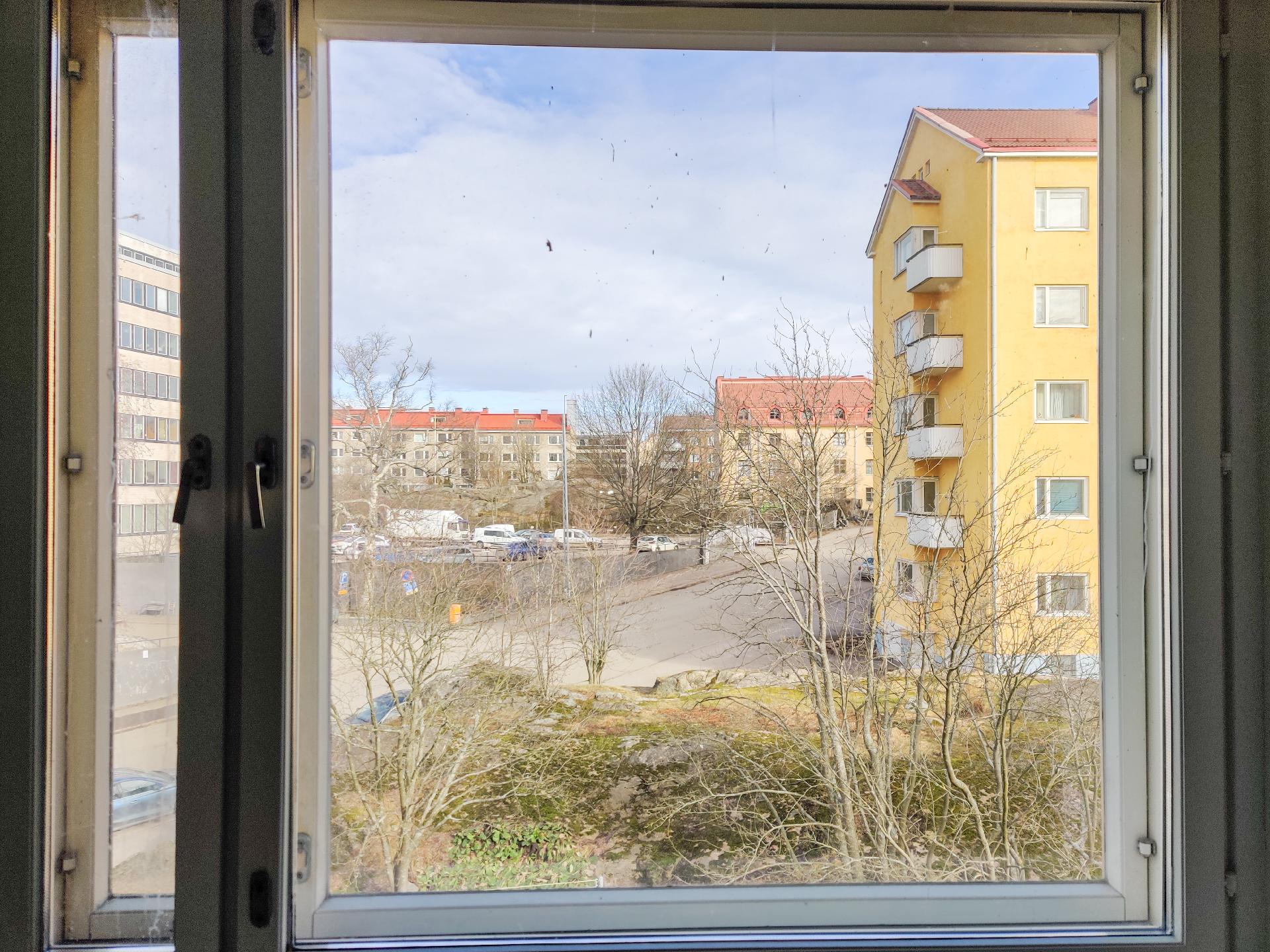 Rauhalliset puistomaiset näkymät.