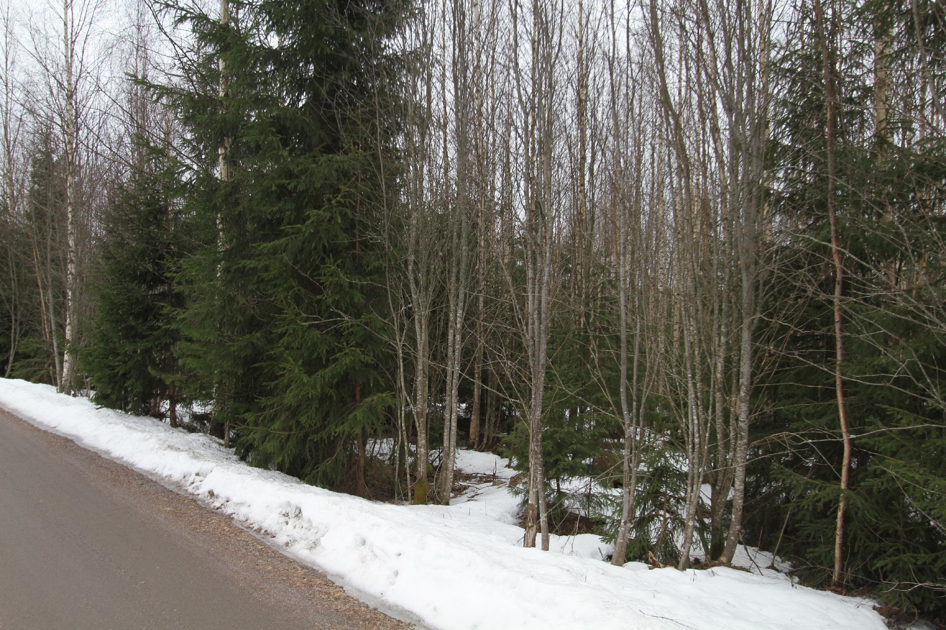 Kivistö- Kaukastie 94, Ohkola, Mäntsälä