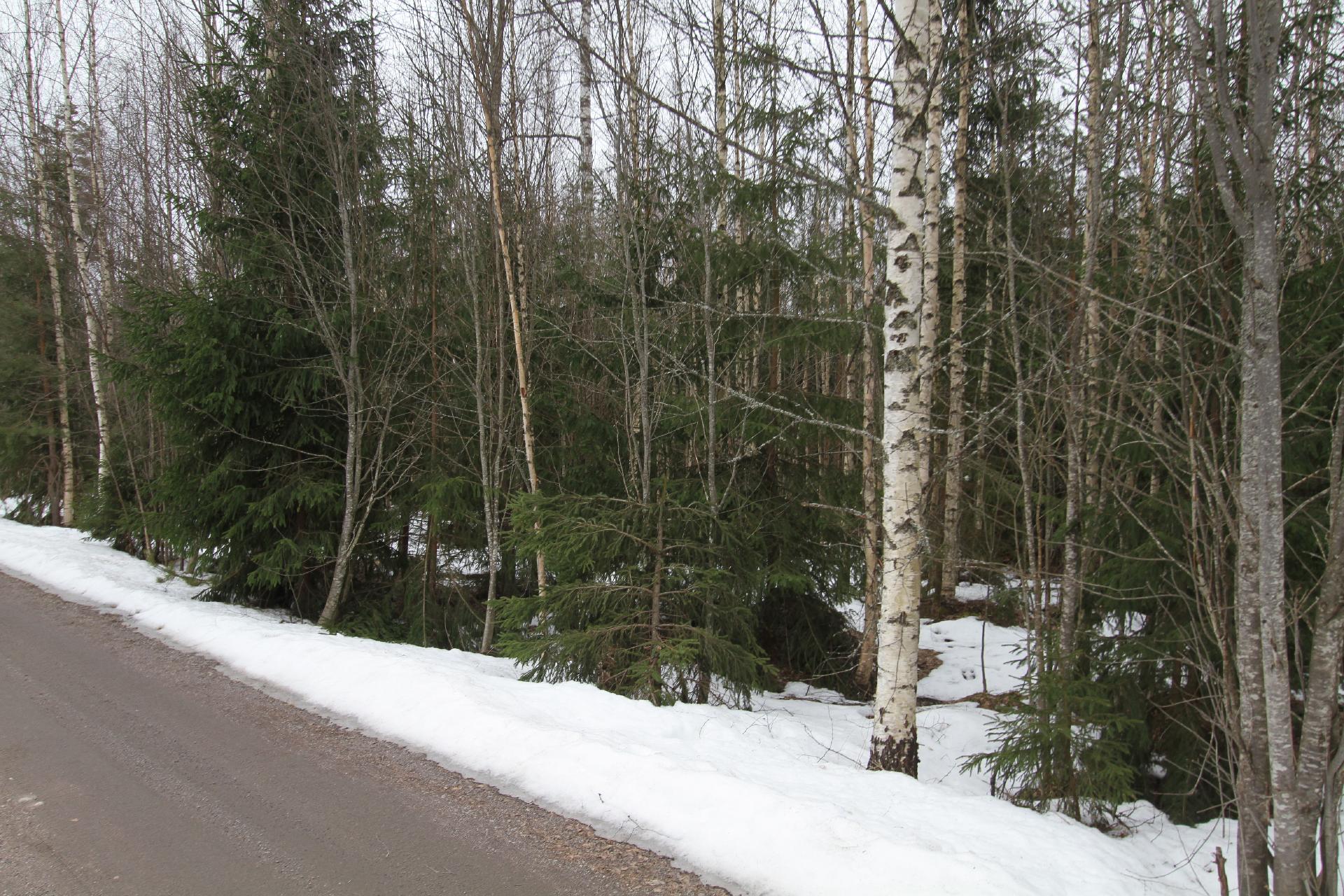 Kivistö- Kaukastie 94, Ohkola, Mäntsälä