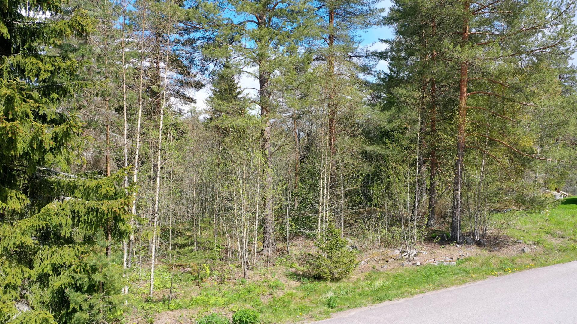 Tammijoentie 18, Otalampi, Vihti