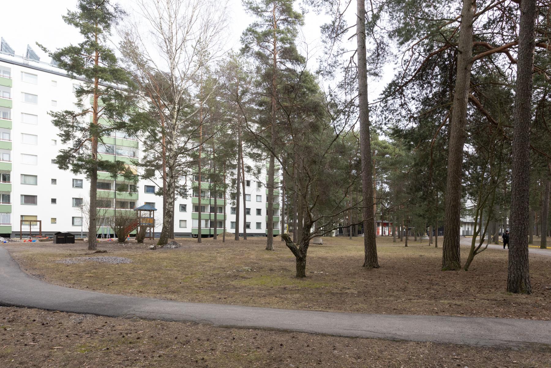 Taloyhtiön piha-aluetta