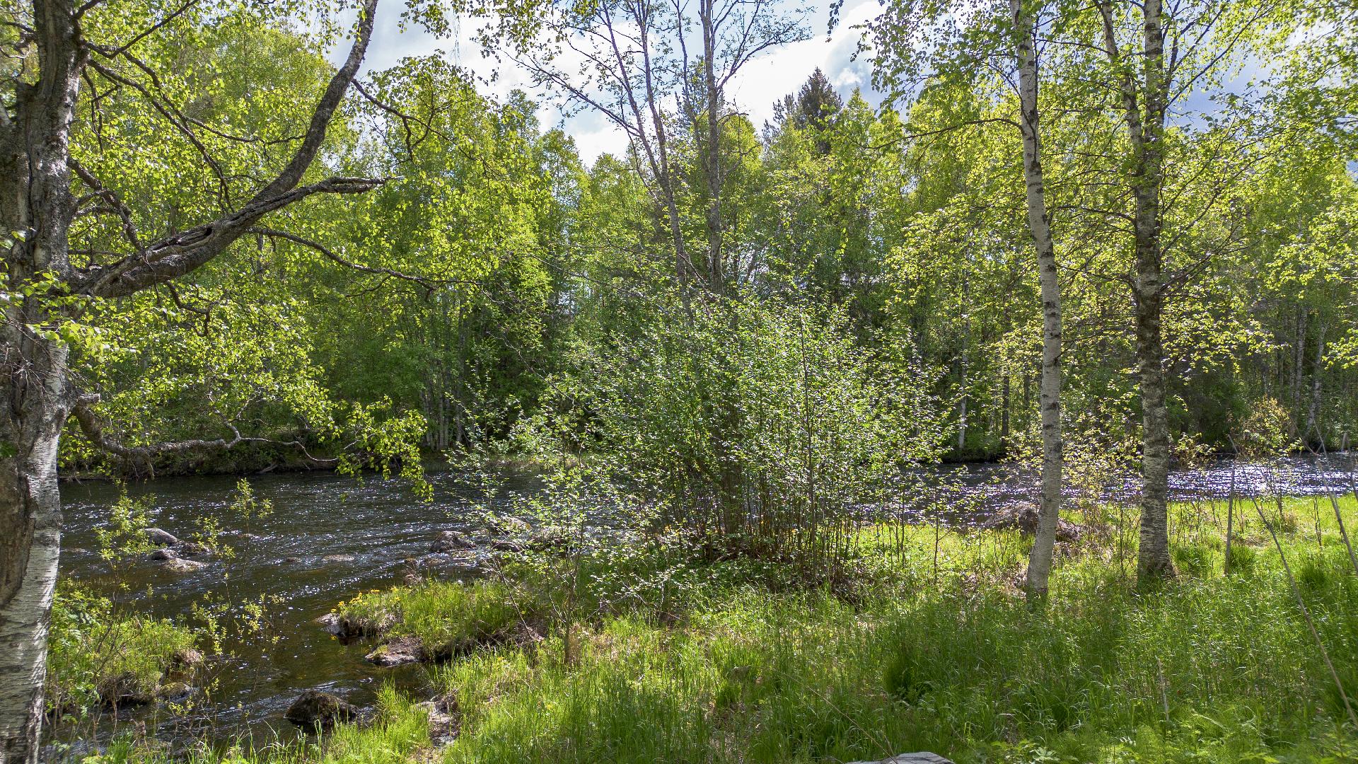 Utajärventie 42, Puolanka, Puolanka