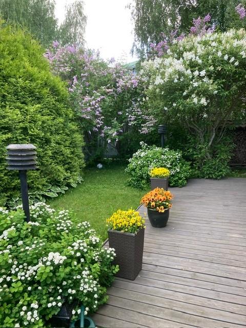 Kesäkuva