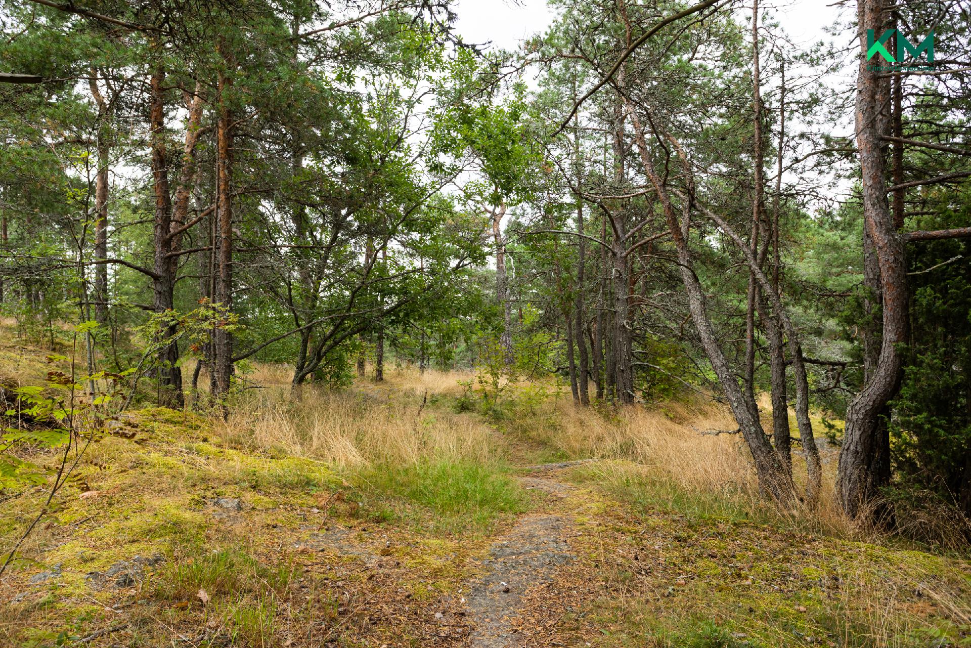 Rusthollinkatu 7, Uittamo, Turku