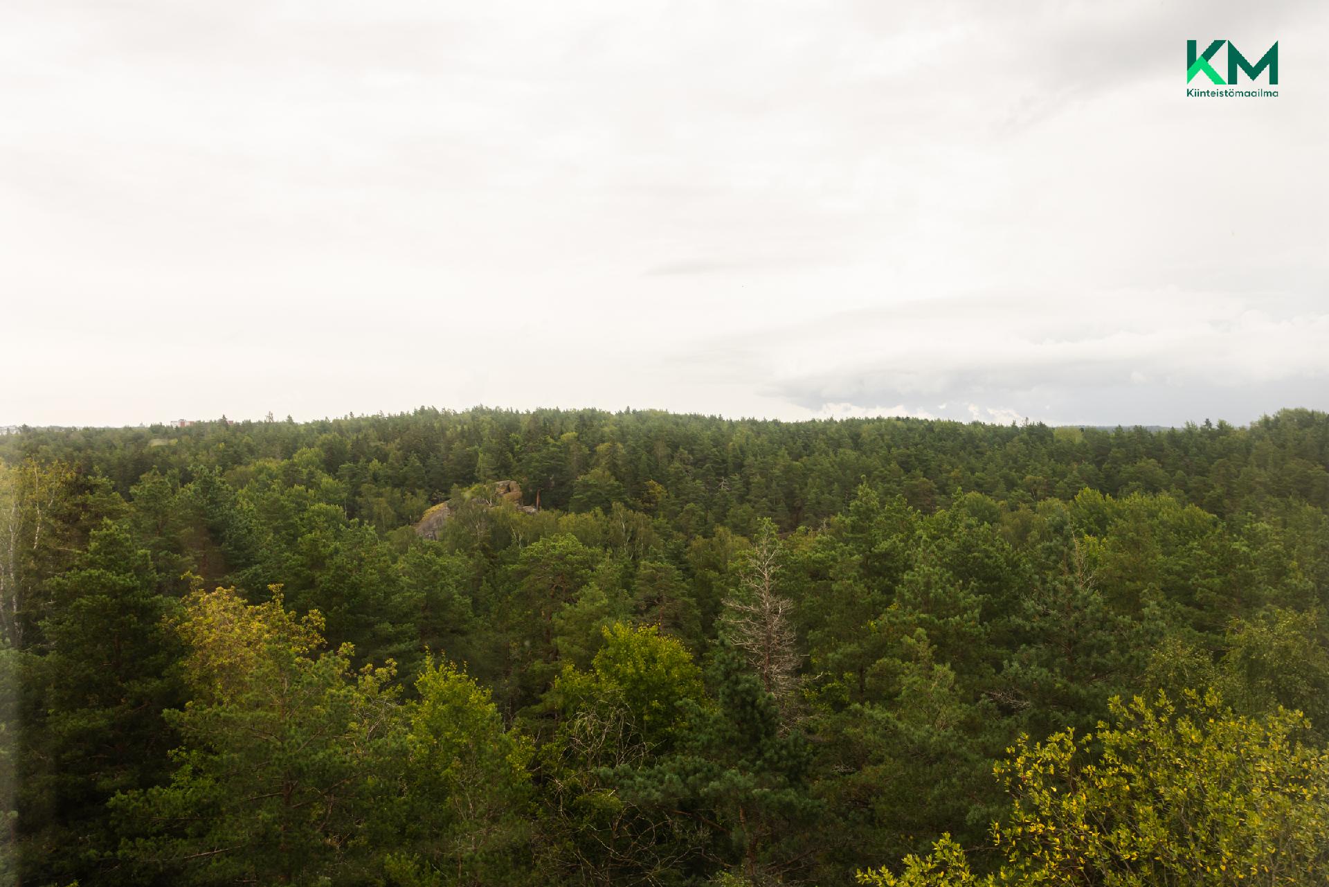 Rusthollinkatu 7, Uittamo, Turku