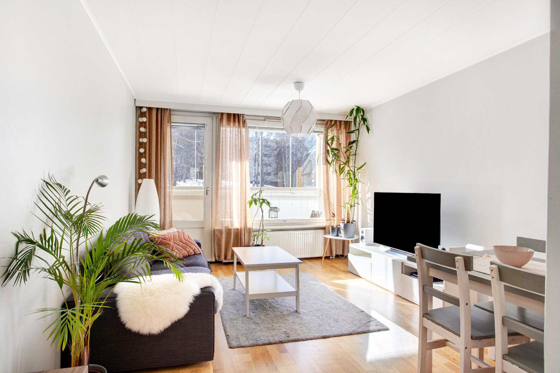 Riihipellontie 5, Konala, Helsinki