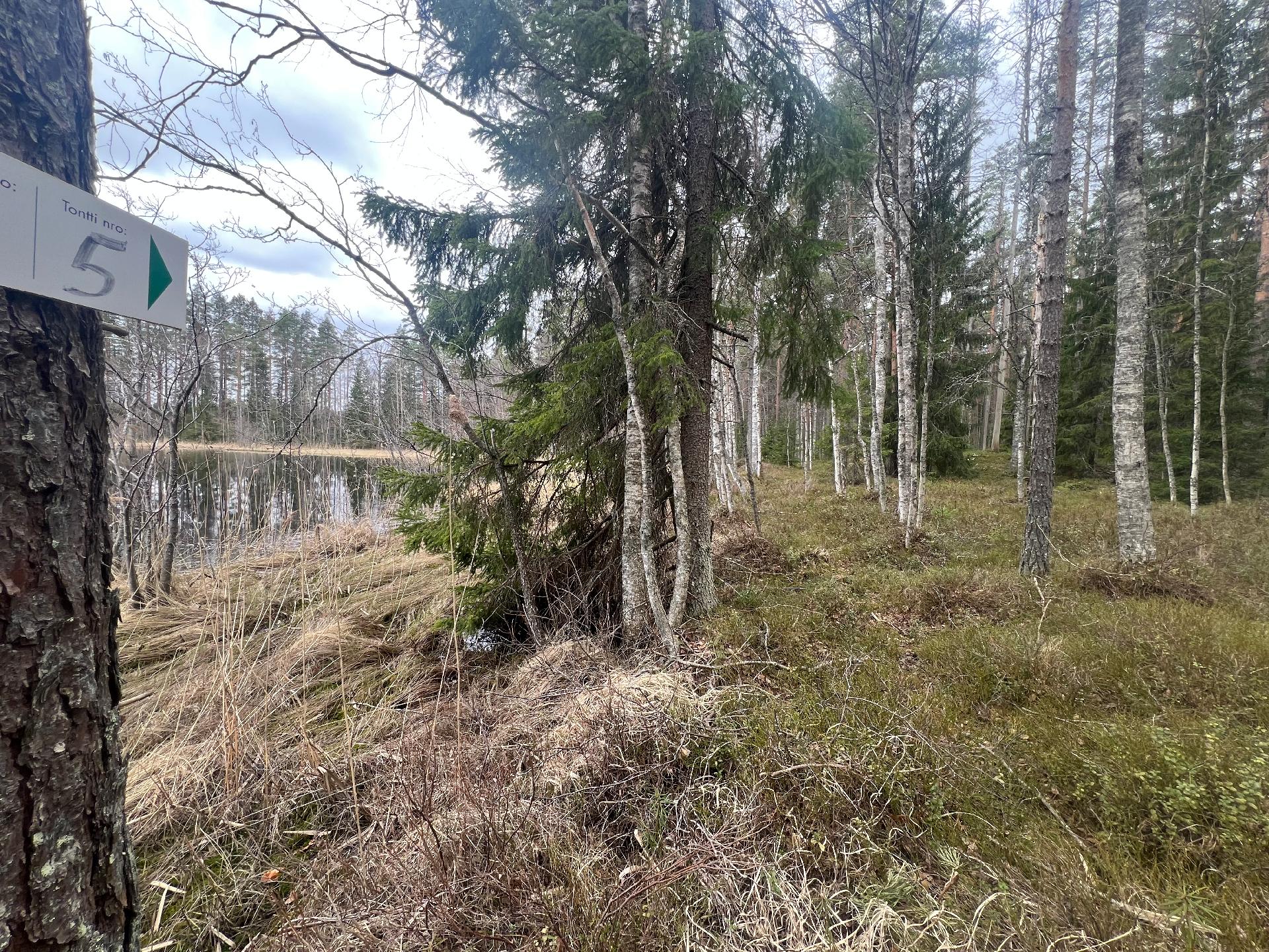 Riitakarintie 75 tontti 5, Lunkaa, Tammela