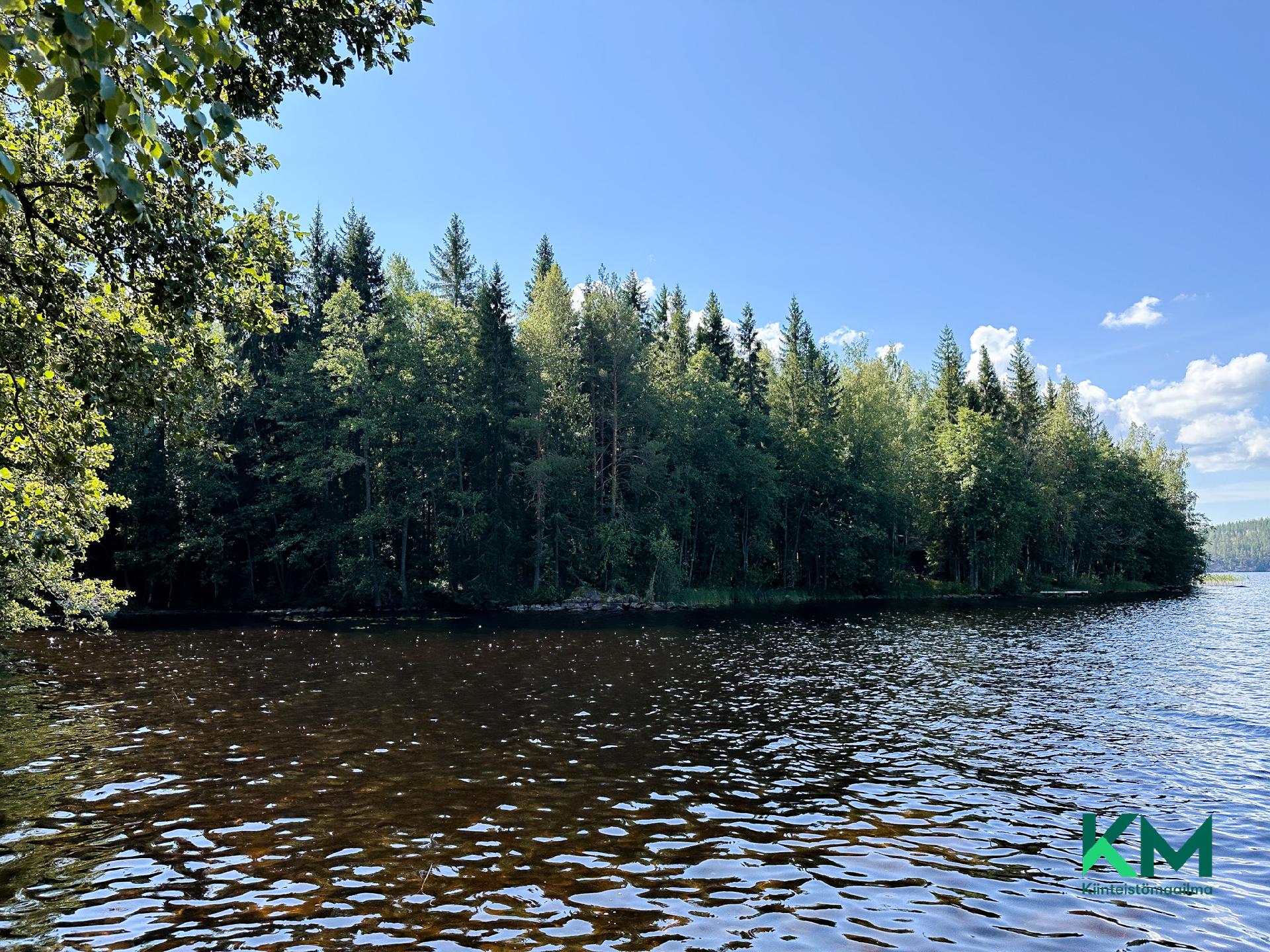 Suuri-Kontiainen 1:41 & 1:14, Särkilahti, Savonlinna