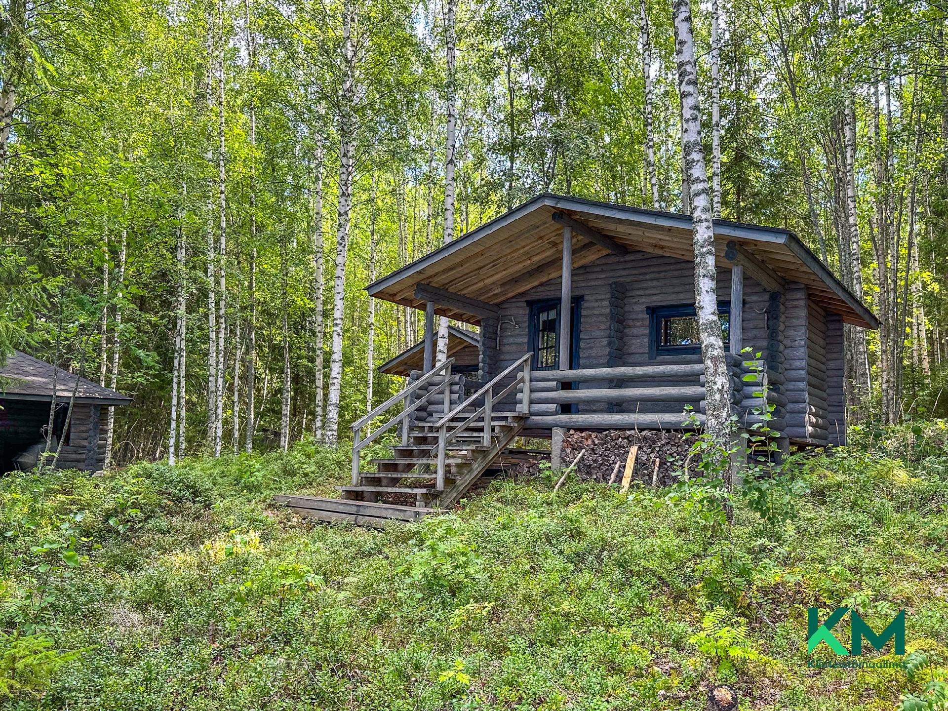 Suuri-Kontiainen 1:41 & 1:14, Särkilahti, Savonlinna