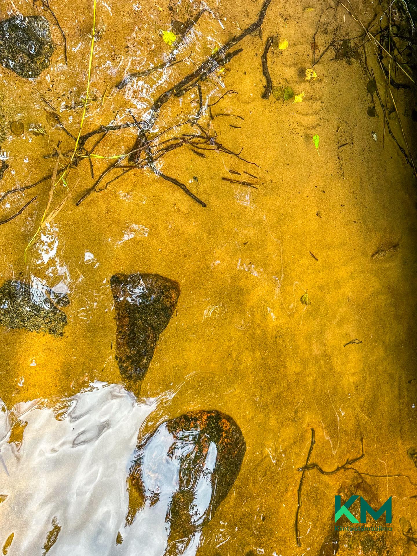 Suuri-Kontiainen 1:41 & 1:14, Särkilahti, Savonlinna