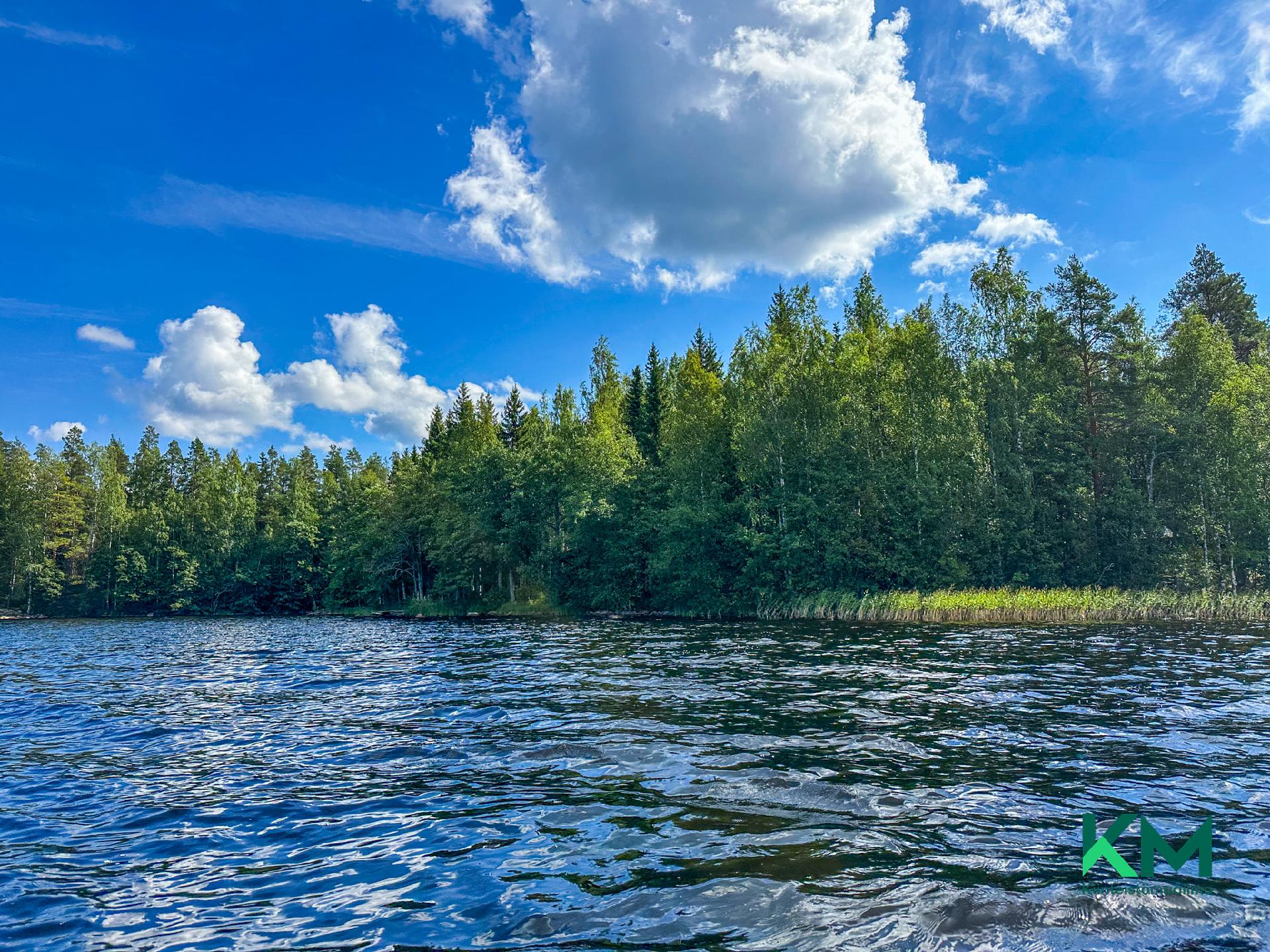 Suuri-Kontiainen 1:41 & 1:14, Särkilahti, Savonlinna