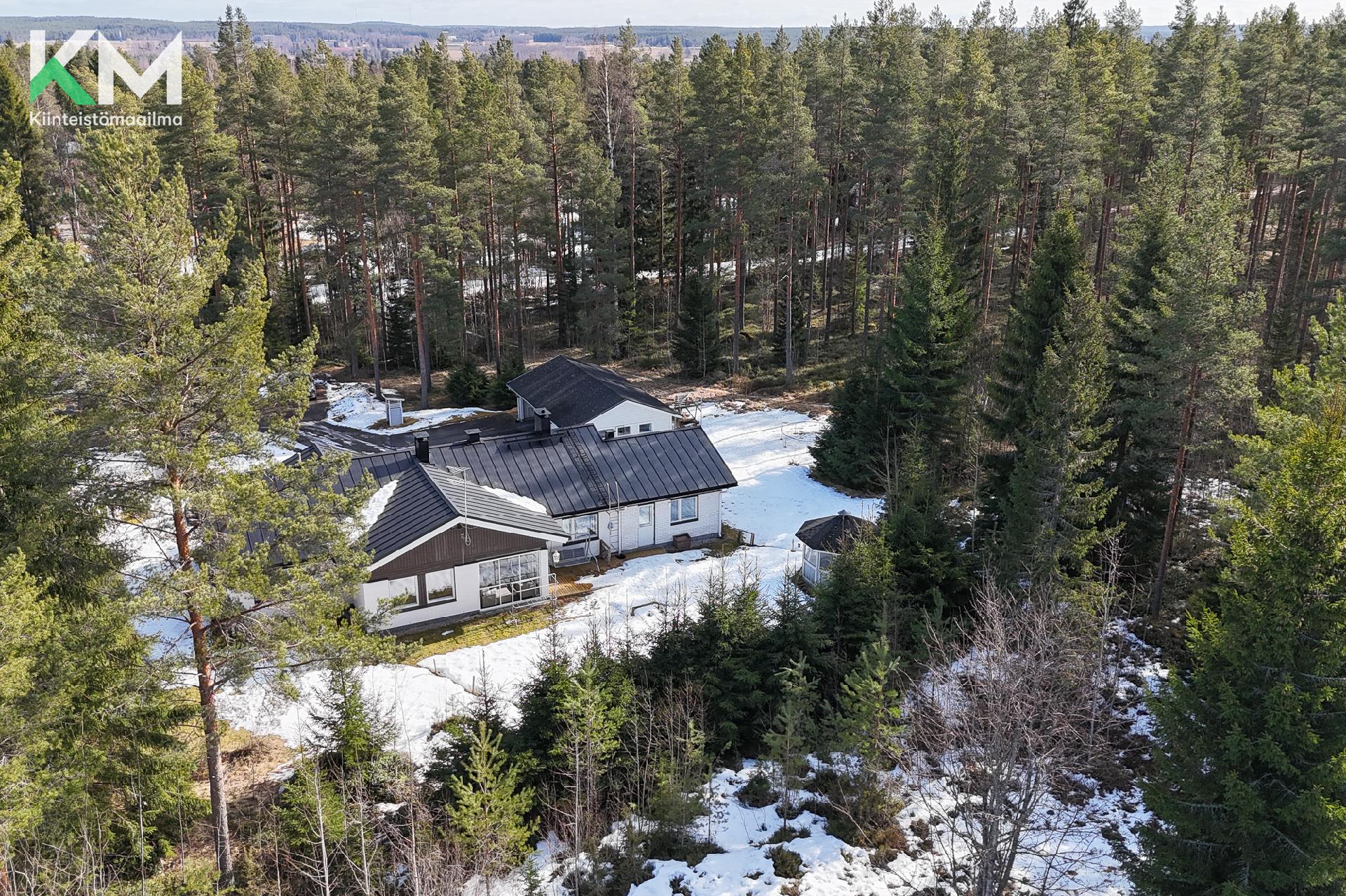 Kärppätie 5, Autio, Kurikka