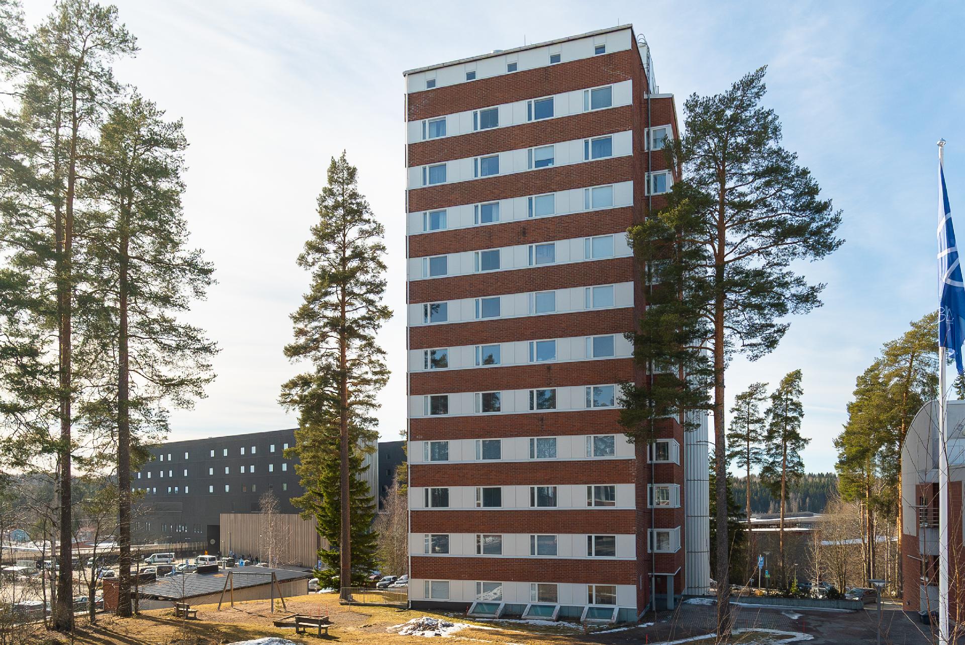 Hoitajantie 4, Kukkumäki, Jyväskylä