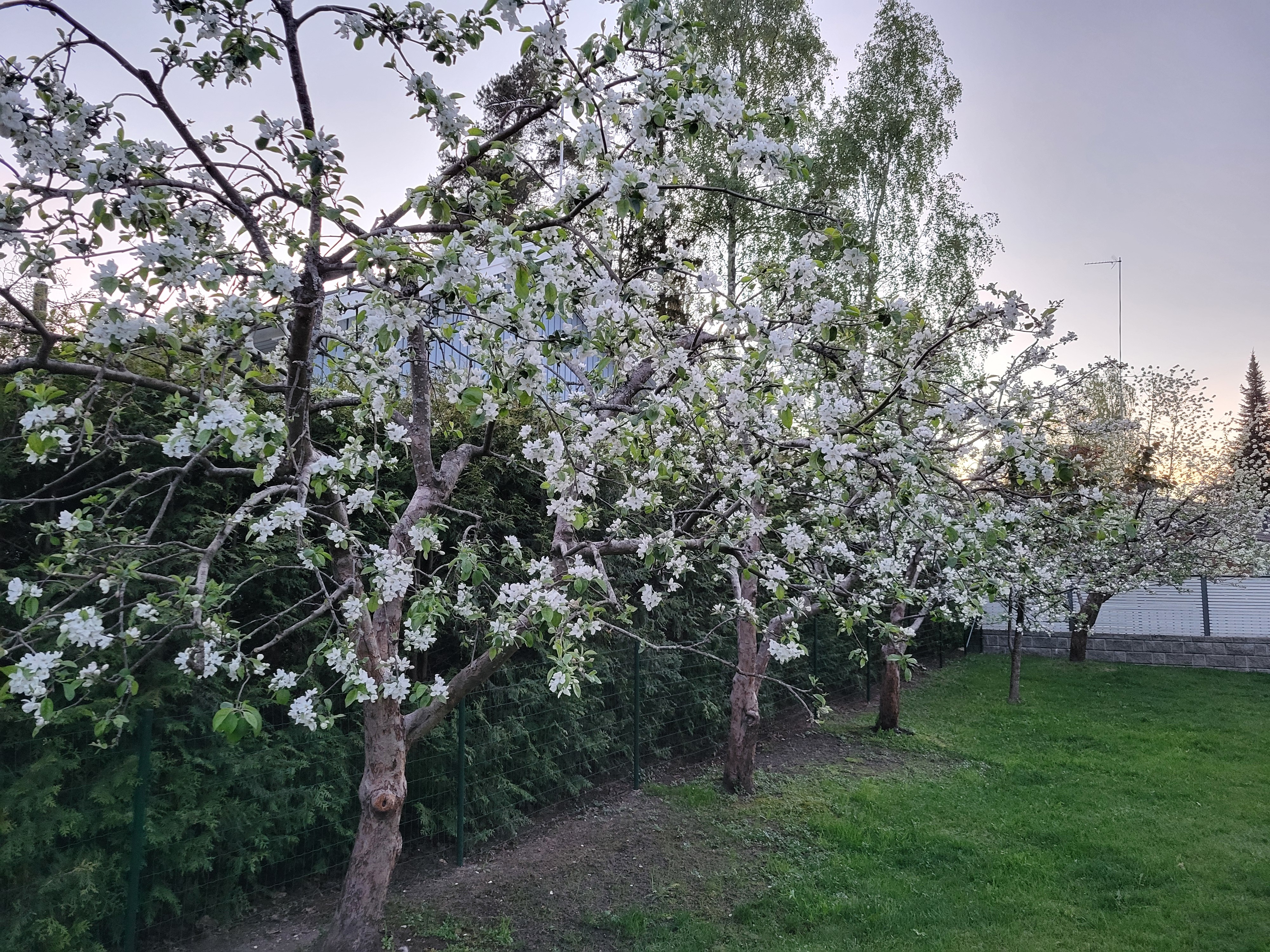 Kiertomäentie 11, Kuninkaanmäki, Vantaa