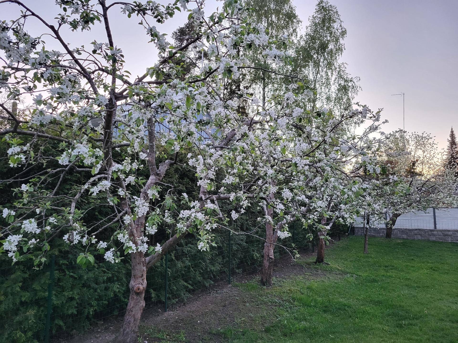 Kiertomäentie 11, Kuninkaanmäki, Vantaa