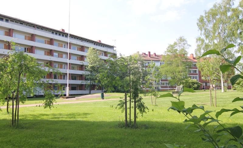 Viihtyisän avara pihapiiri
