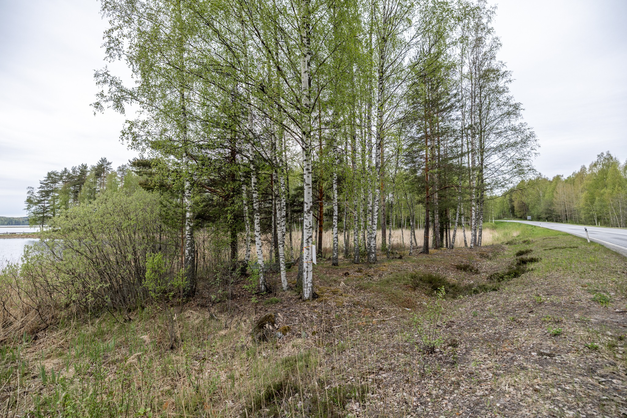 Suotorpantie -, Anttola, Mikkeli