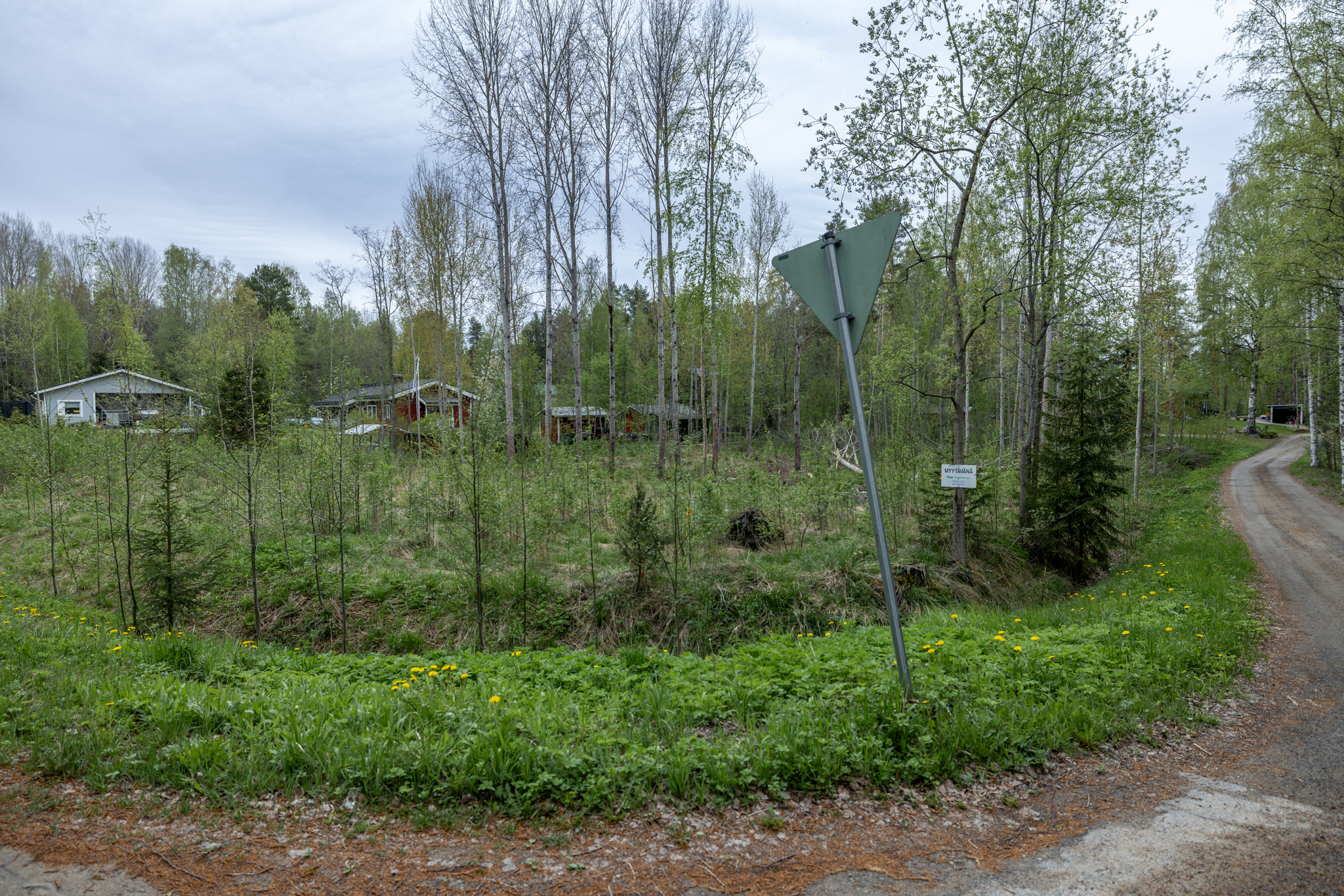 Suotorpantie -, Anttola, Mikkeli