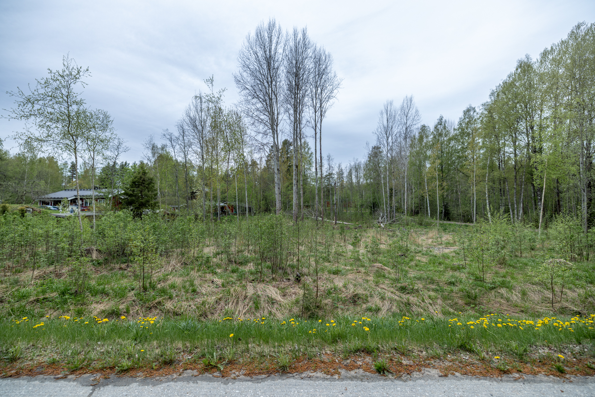 Suotorpantie -, Anttola, Mikkeli