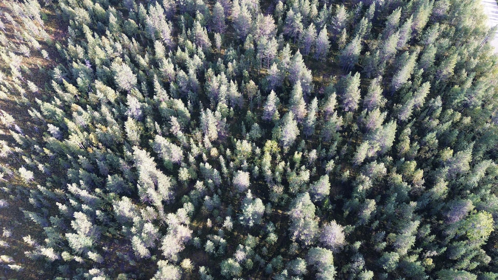 Alavasantie 3, Köngäs, Kittilä