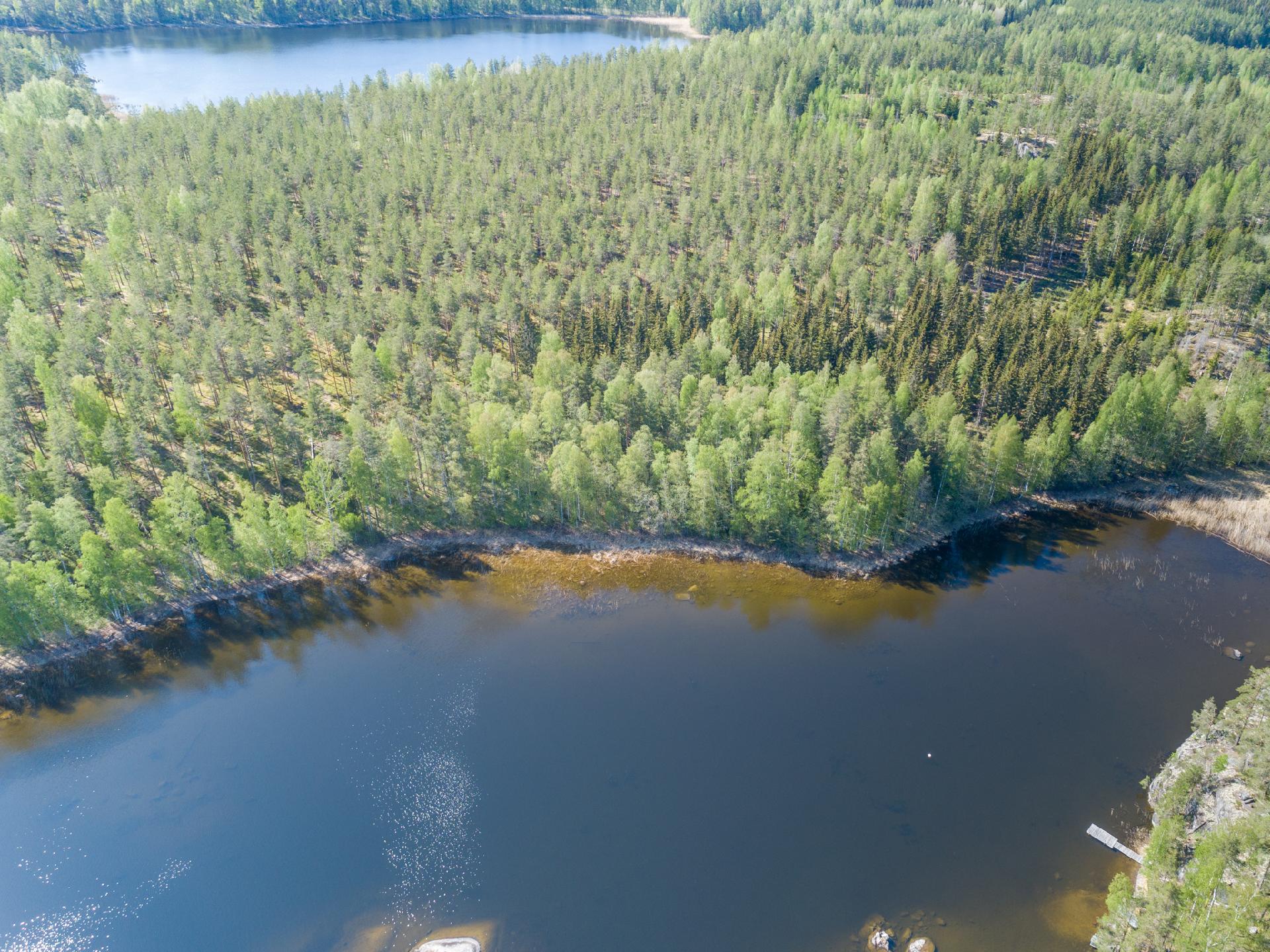 Lavulahdentie -, Mikkeli