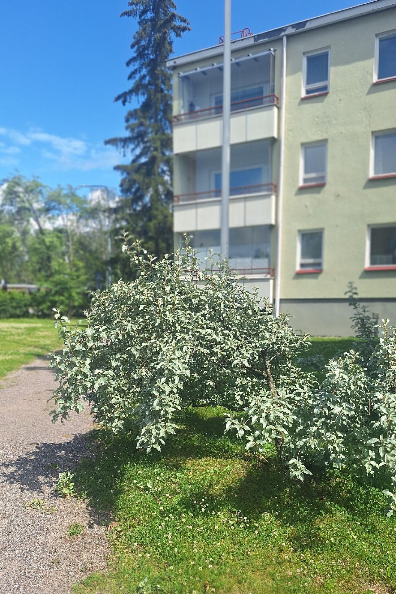 Hiekkaharjuntie 6, Hiekkaharju, Vantaa